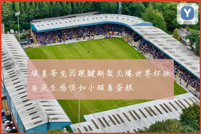 埃基蒂克因跟腱断裂无缘世界杯独自庆生感伤如小猫看蛋糕